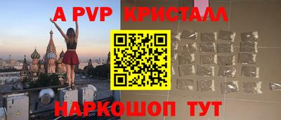 соль ск Кингисепп