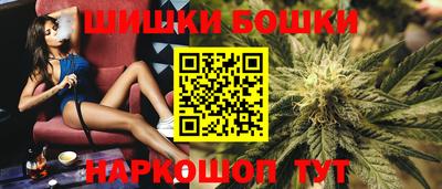 соль ск Кингисепп