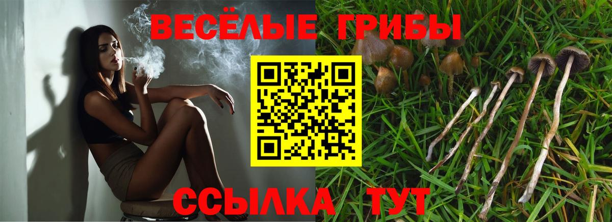 Галлюциногенные грибы GOLDEN TEACHER  Вход с VPN  Кузнецк  Псилоцибиновые грибы GOLDEN TEACHER 