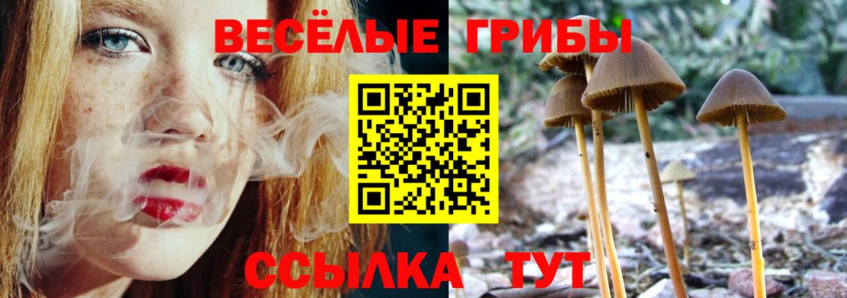 Псилоцибиновые грибы GOLDEN TEACHER Кузнецк